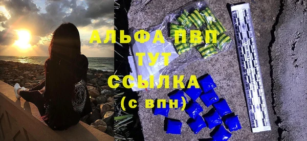 ешки Белокуриха