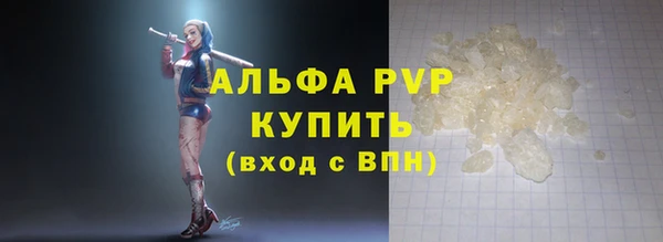 ешки Белокуриха