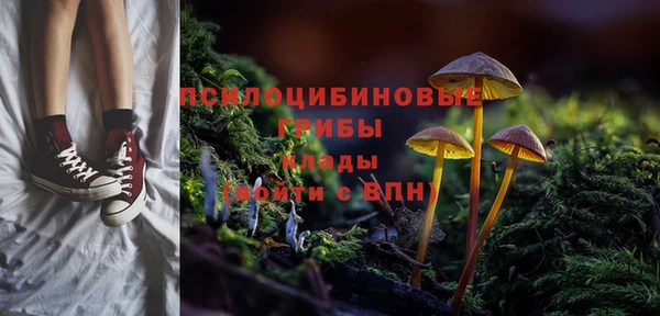 a pvp Беломорск